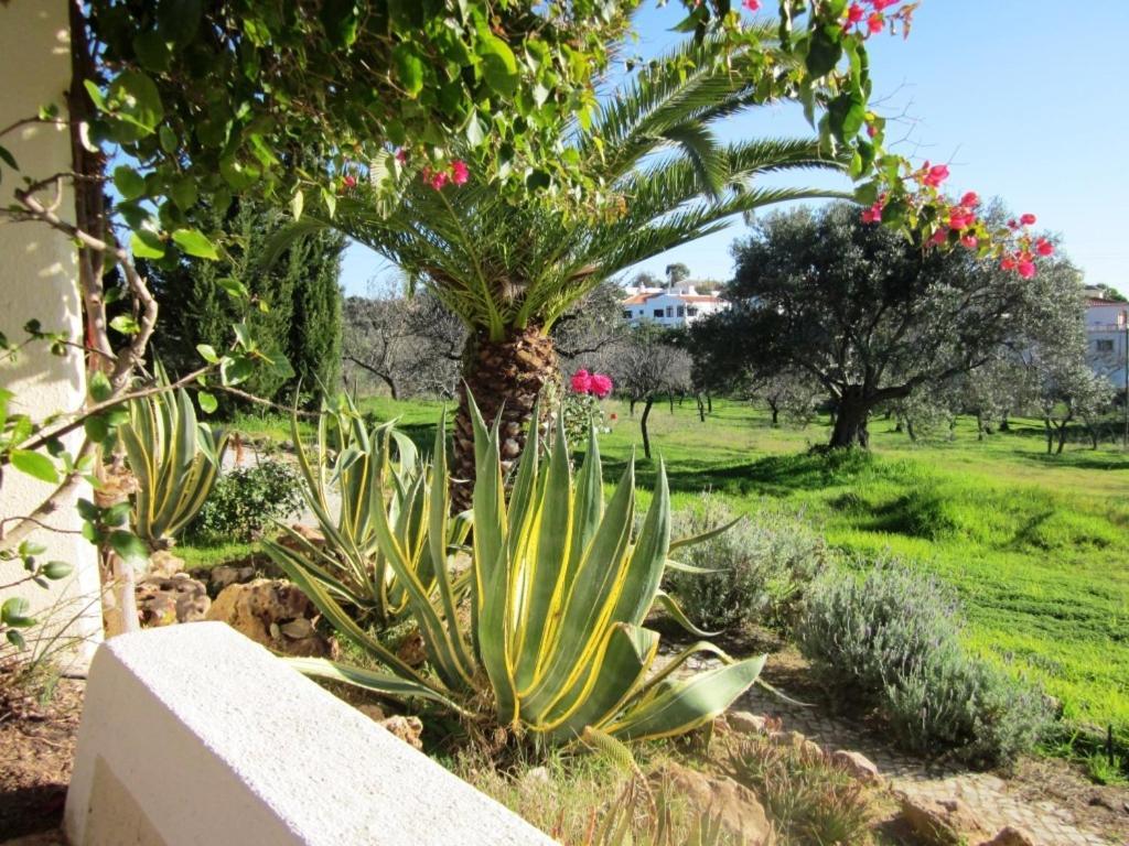 Quinta Mimosa Otel Loulé Oda fotoğraf