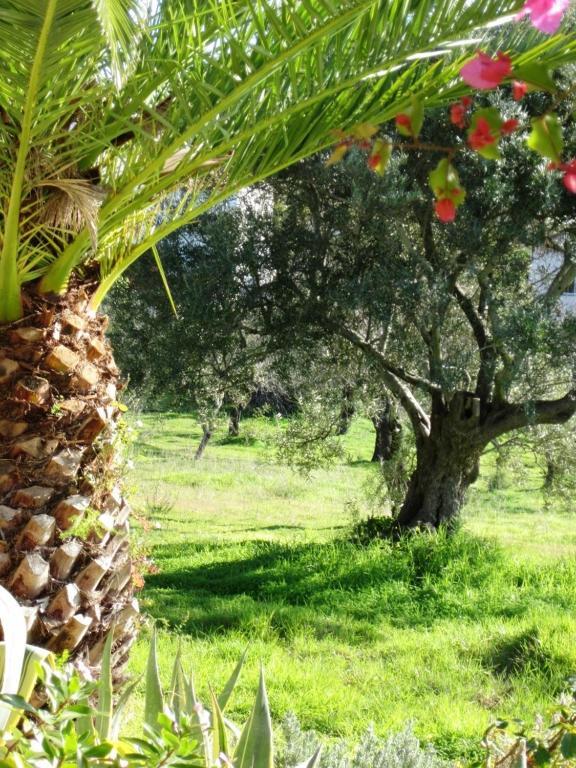 Quinta Mimosa Otel Loulé Oda fotoğraf
